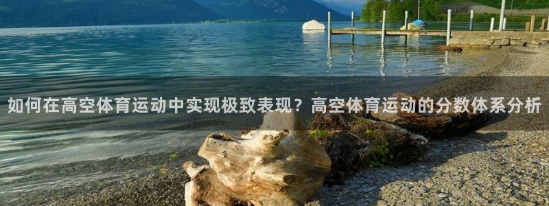 北京意昂科技有限公司