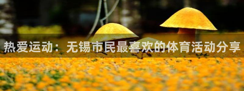 意昂F凯捷集团官网