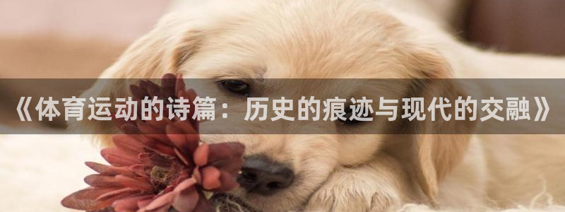 意昂F凯捷4代理