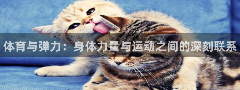 意昂F凯捷官网