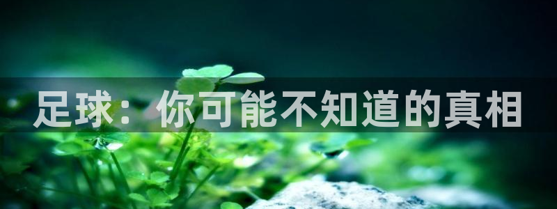 意昂体育2
