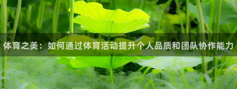东莞市意昂F凯捷电子科技有限公司