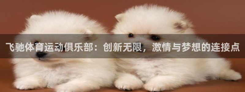 意昂F凯捷体育代理