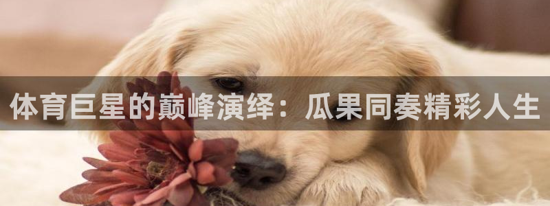 意昂4官网