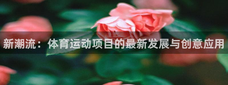 意昂注册