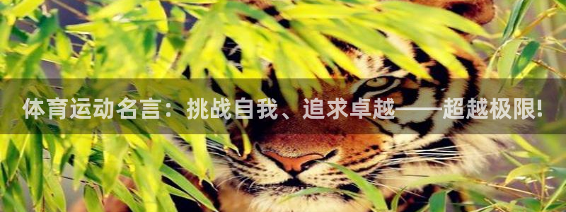 意昂F凯捷平台注册入口