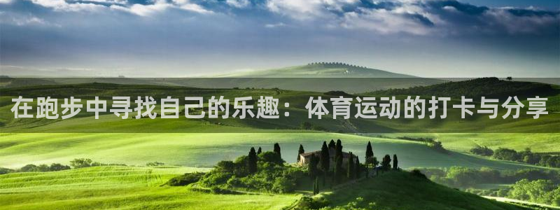意昂F凯捷vk