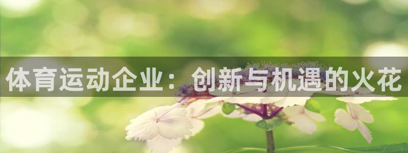 意昂5招商