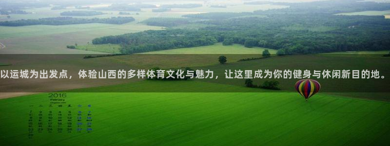 德国意昂集团