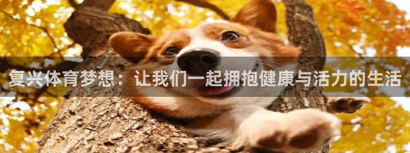意昂F凯捷