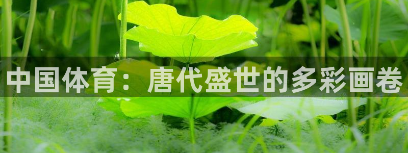 意昂F凯捷3登陆