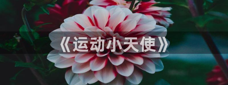 德国意昂F凯捷集团