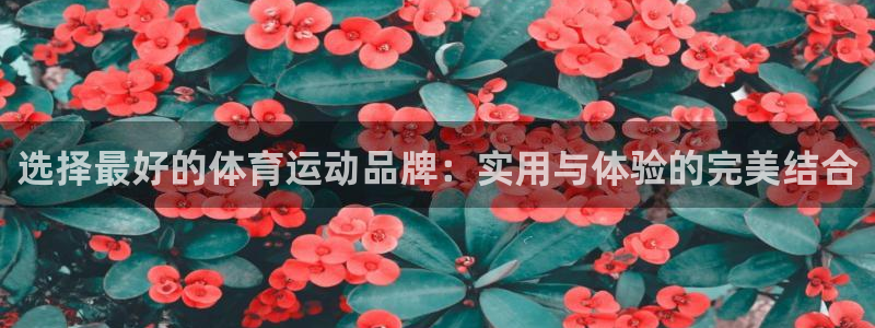 意昂F凯捷体育注册平台