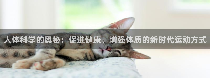 意昂F凯捷4官网